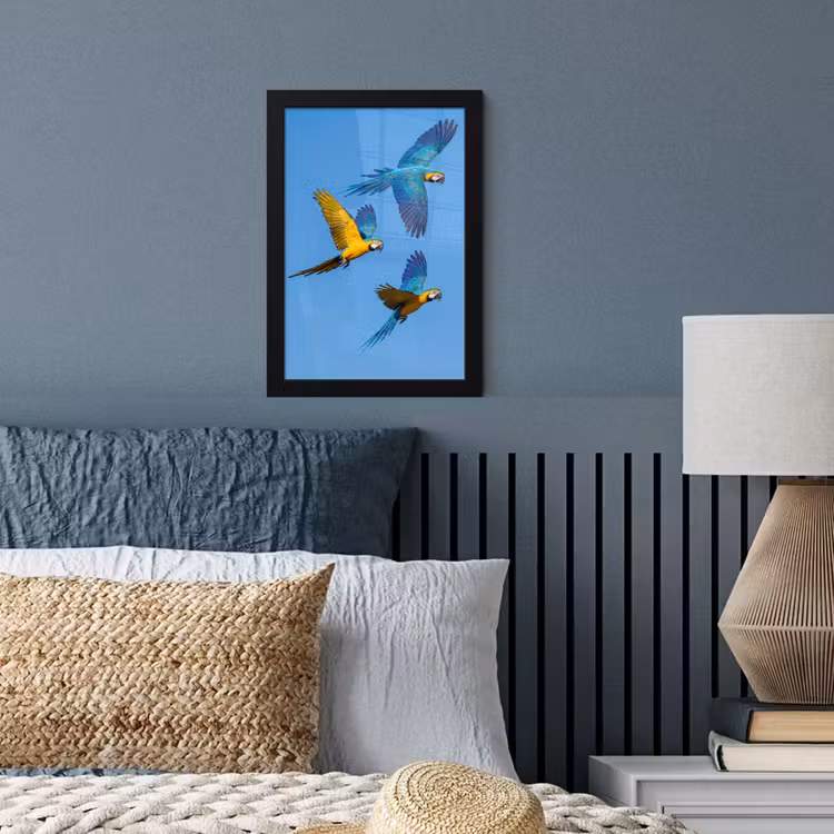 Papagaai - Vliegen - Blauw - Geel fotolijst zwart zonder passe partout klein -sfeer3