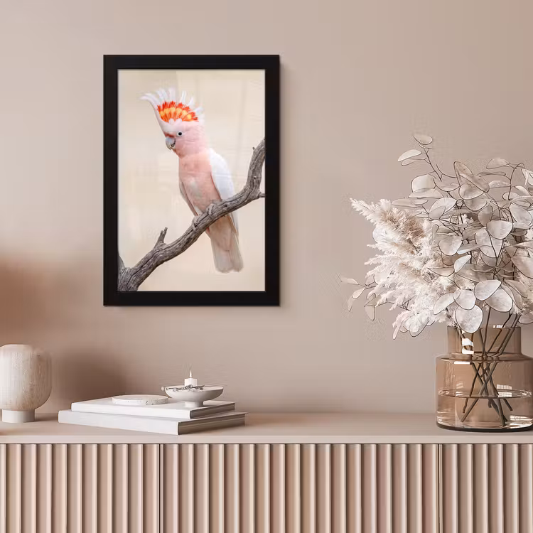 Papagaai - Tak - Roze fotolijst zwart zonder passe partout klein -sfeer5