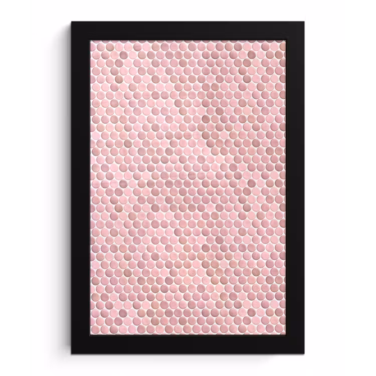 Penny - Mozaïek - Lichtroze fotolijst zwart zonder passe partout klein 224 -3d