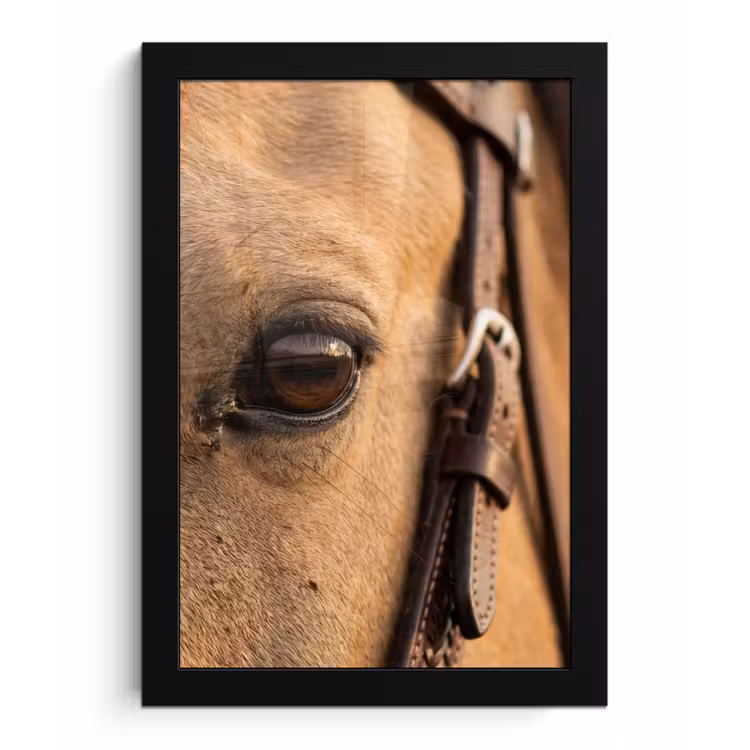 Paard - Oog - Bruin fotolijst zwart zonder passe partout klein -3d