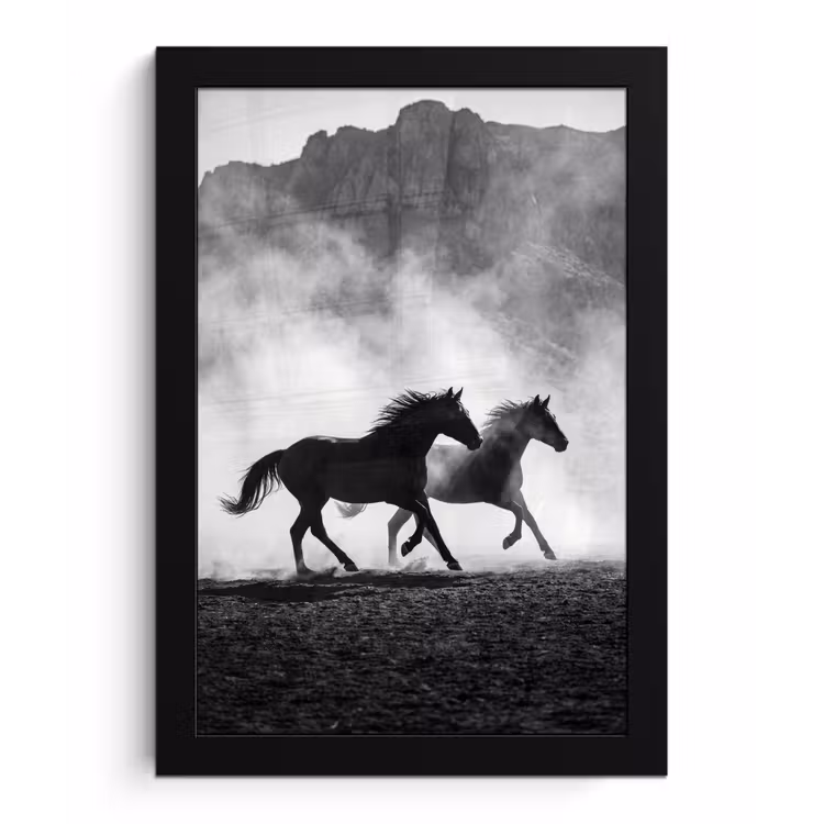 Paard - Ren - Stof - Zwart-wit - Dieren fotolijst zwart zonder passe partout klein -3d