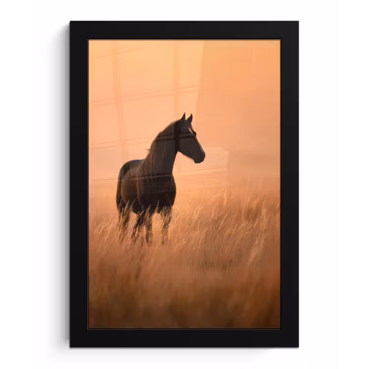 Paard - Grasveld - Zonsondergang fotolijst zwart zonder passe partout klein -3d