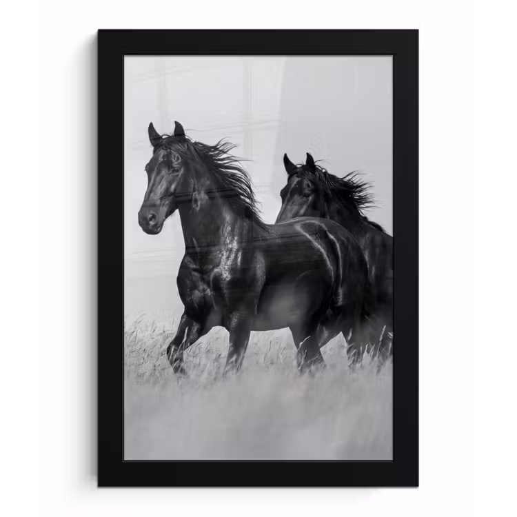 Paarden - Gras - Zwart - Wit fotolijst zwart zonder passe partout klein -3d