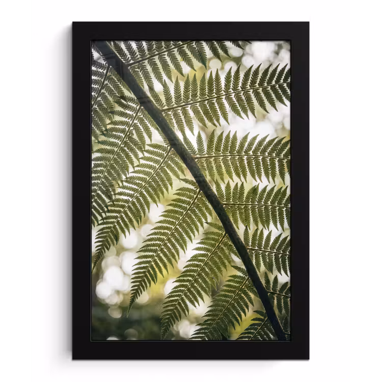 Plant - Blad - Natuur - Groen - Detail fotolijst zwart zonder passe partout klein -3d
