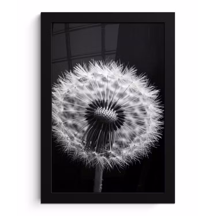 Paardenbloem - Zwart - Wit fotolijst zwart zonder passe partout klein -3d