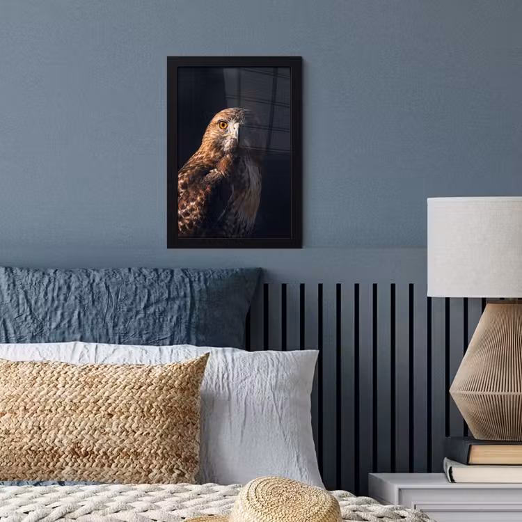 Roofvogel - Buizerd - Bruin fotolijst zwart zonder passe partout klein -sfeer3