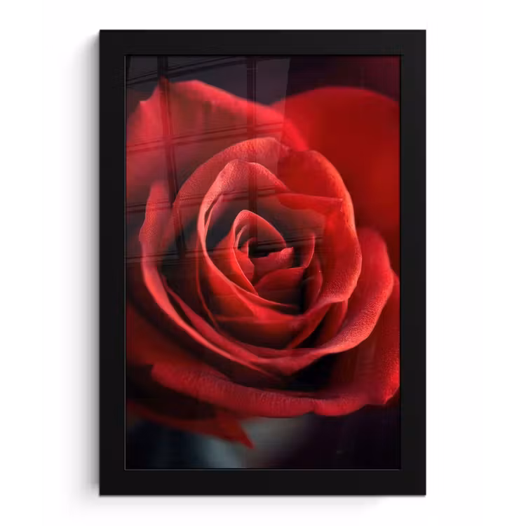 Rood - Roos - Romantisch fotolijst zwart zonder passe partout klein -3d
