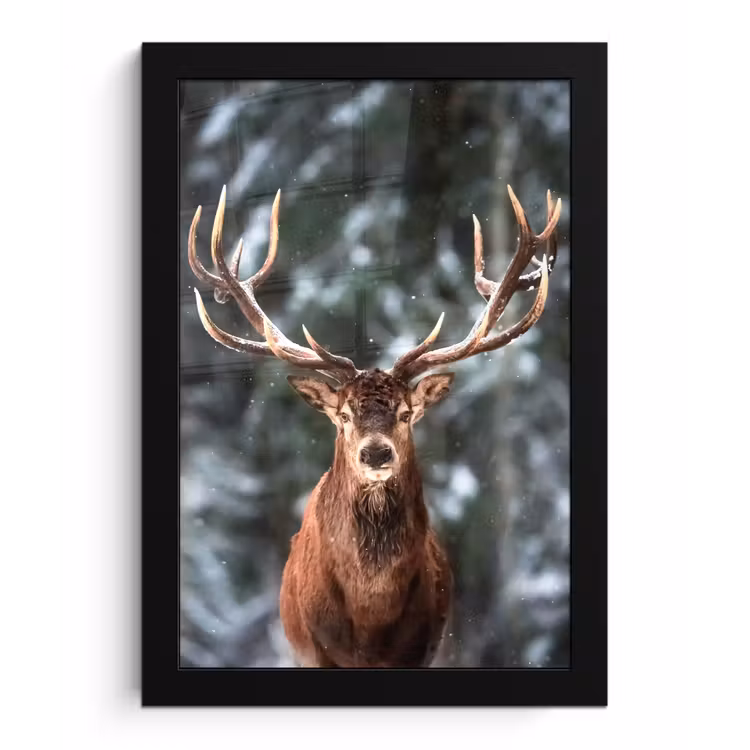 Hert - Winter - Sneeuw - Bos - Natuur - Dier fotolijst zwart zonder passe partout klein -3d