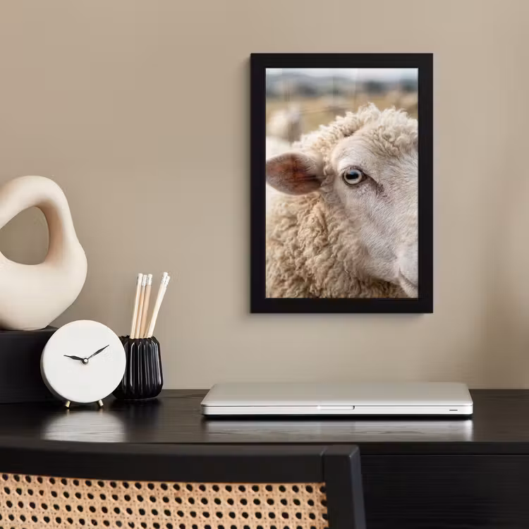 Schaap - Oog - Wit fotolijst zwart zonder passe partout klein -sfeer1