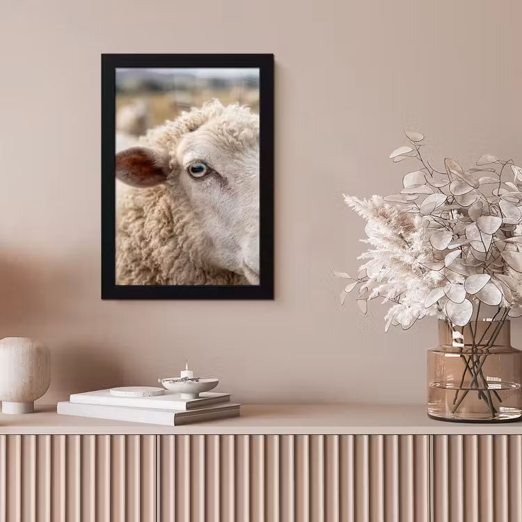Schaap - Oog - Wit fotolijst zwart zonder passe partout klein -sfeer5