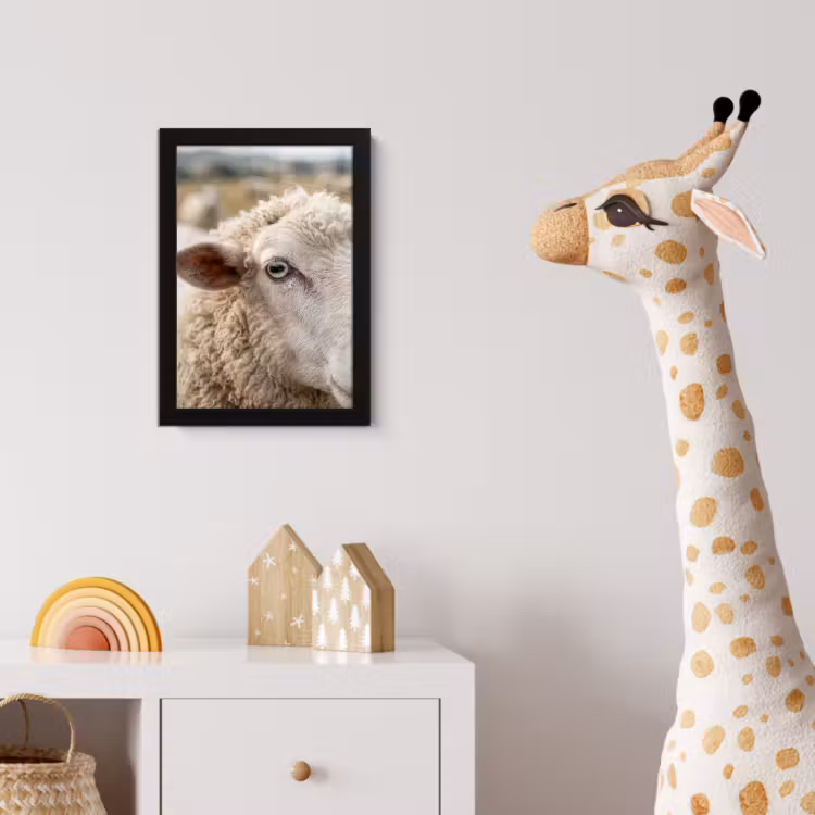 Schaap - Oog - Wit fotolijst zwart zonder passe partout klein -usfeer4_kinderkamer