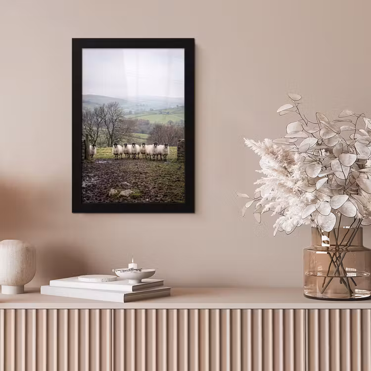 Schapen - Rij - Weide - Dieren - Platteland fotolijst zwart zonder passe partout klein -sfeer5