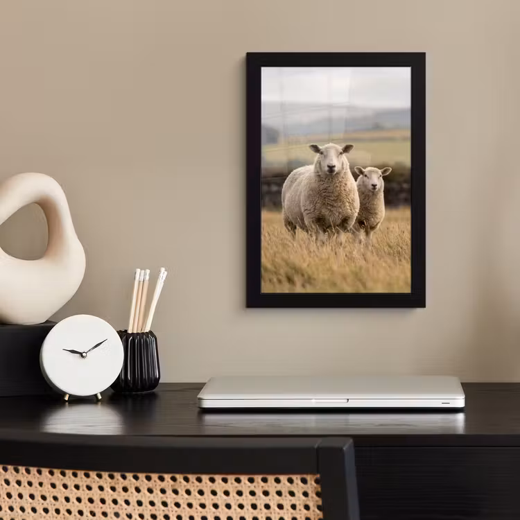 Schapen - Weidenlandschap - Heuvels fotolijst zwart zonder passe partout klein -sfeer1
