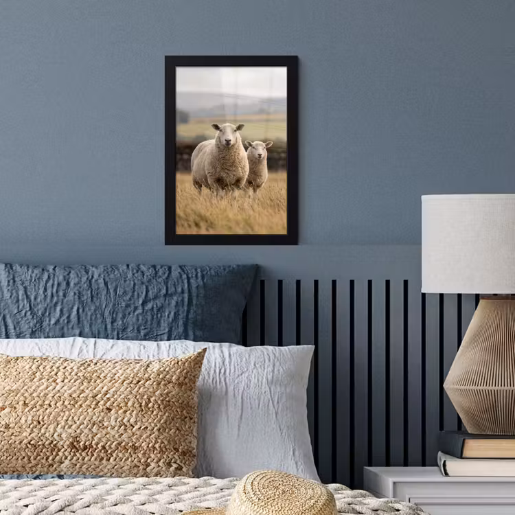 Schapen - Weidenlandschap - Heuvels fotolijst zwart zonder passe partout klein -sfeer3