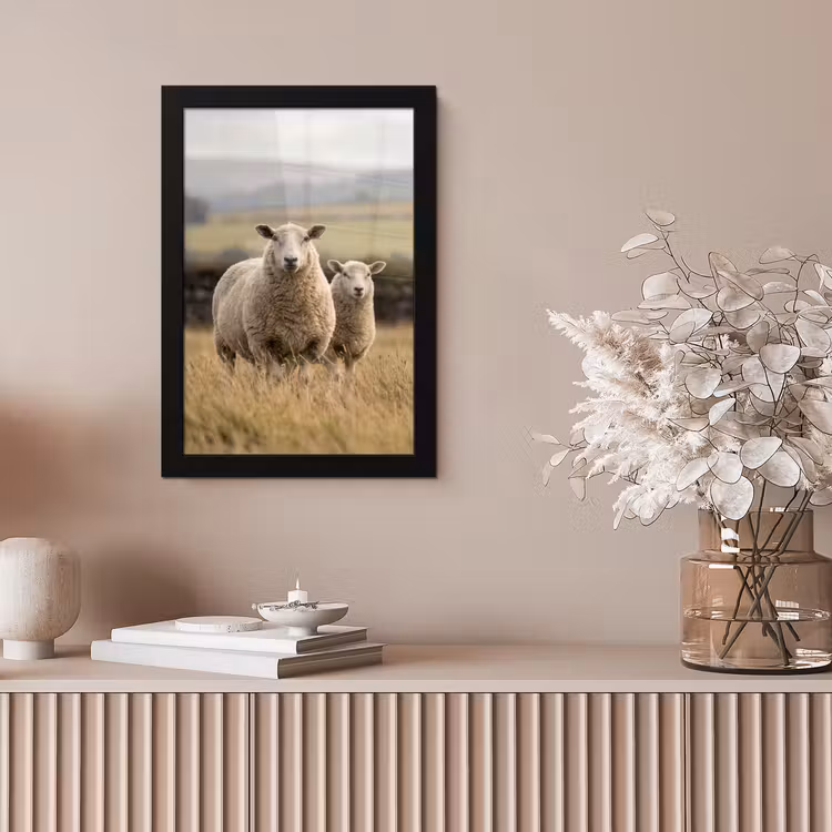 Schapen - Weidenlandschap - Heuvels fotolijst zwart zonder passe partout klein -sfeer5