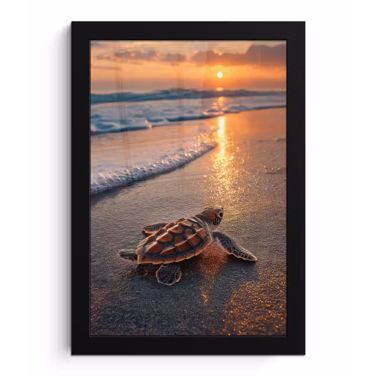 Schildpad - strand - Zonsondergang fotolijst zwart zonder passe partout klein -3d