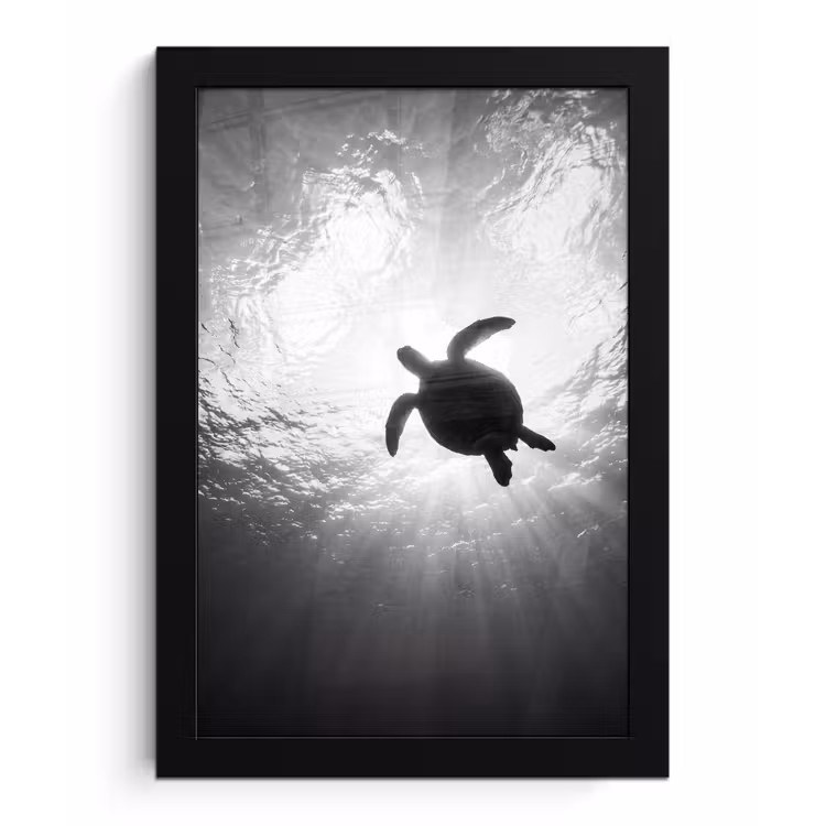 Schildpad - Onderwater - Lichtstralen - Oceaan - Zwart-wit fotolijst zwart zonder passe partout klein -3d