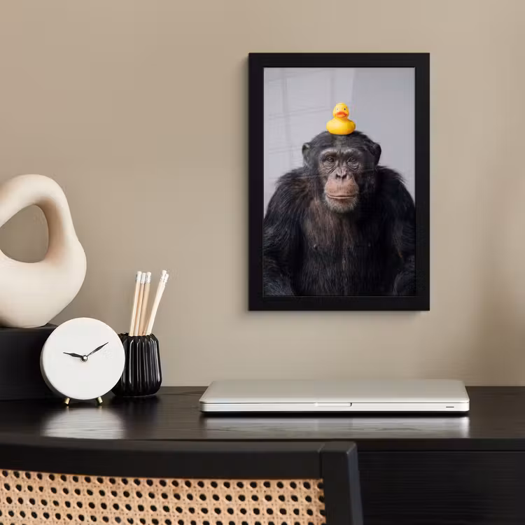 Chimpansee - Badeend - Grijs fotolijst zwart zonder passe partout klein -sfeer1