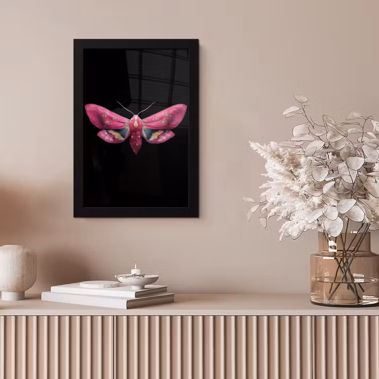 Vlinder - Roze - Nachtvlinder fotolijst zwart zonder passe partout klein -sfeer5