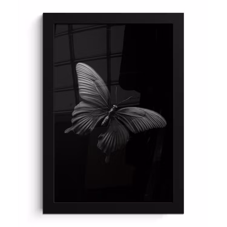 Vlinder - Zwart - Insect - Dieren fotolijst zwart zonder passe partout klein -3d
