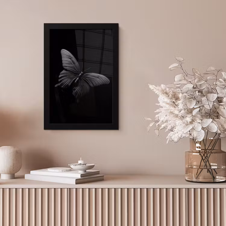Vlinder - Zwart - Insect - Dieren fotolijst zwart zonder passe partout klein -sfeer5