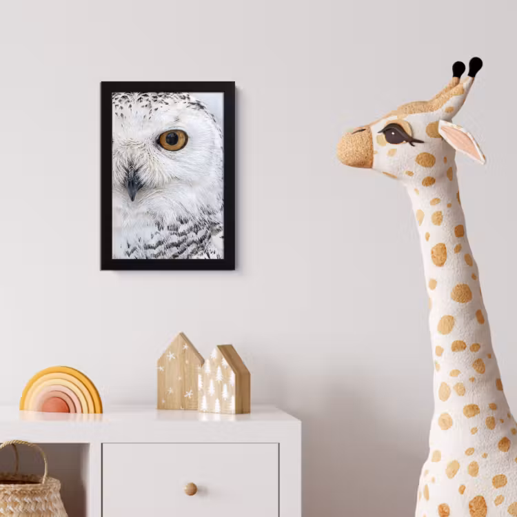 Sneeuwuil - Oog - Wildlife - Wit fotolijst zwart zonder passe partout klein -usfeer4_kinderkamer