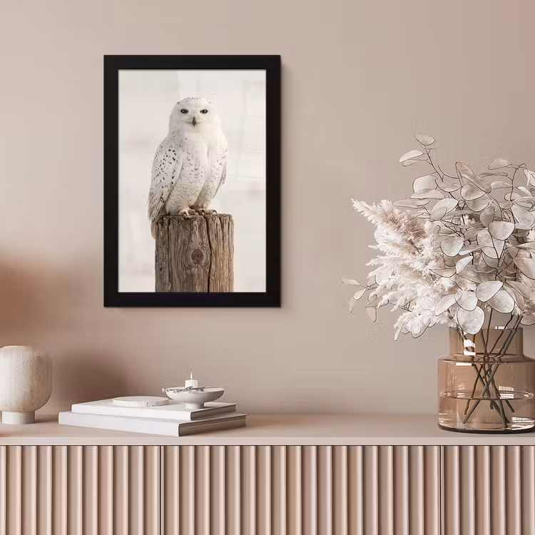 Sneeuwuil - Paal - Winter - Portret - Majestueus fotolijst zwart zonder passe partout klein -sfeer5