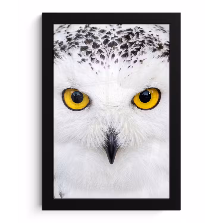Sneeuwuil - Portret - Geel fotolijst zwart zonder passe partout klein -3d