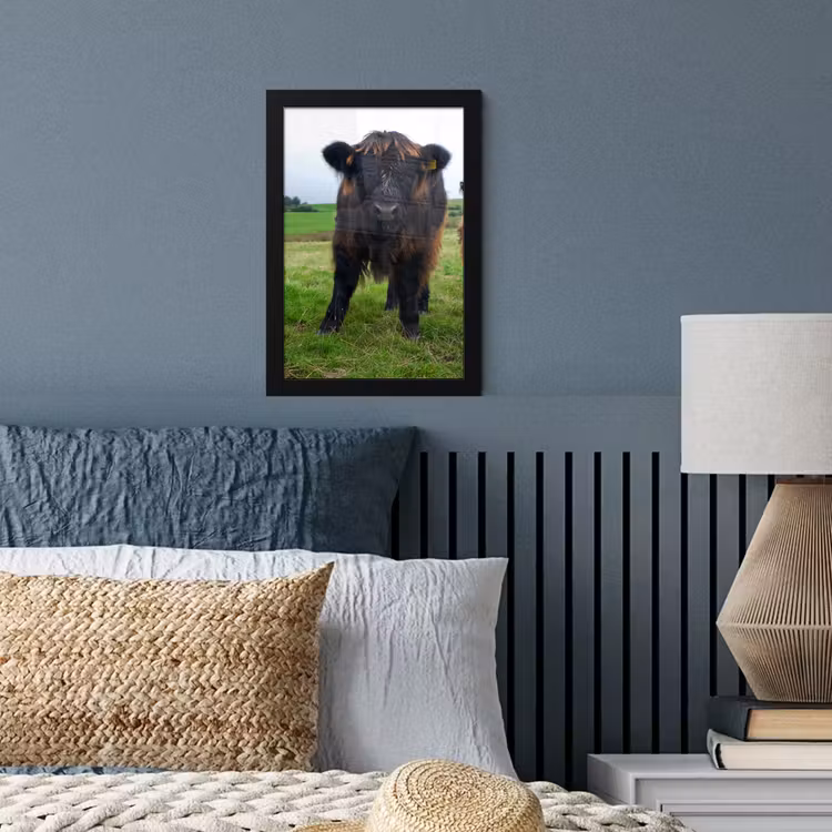 Schotse hooglander - Koeien - Natuur - Groen - Gras fotolijst zwart zonder passe partout klein -sfeer3