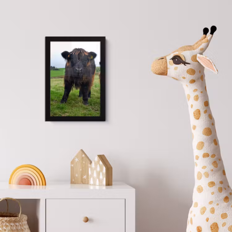 Schotse hooglander - Koeien - Natuur - Groen - Gras fotolijst zwart zonder passe partout klein -usfeer4_kinderkamer