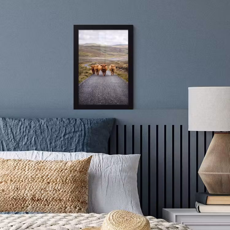 Schotse Hooglanders - Weg - Landschap - Kudde fotolijst zwart zonder passe partout klein -sfeer3