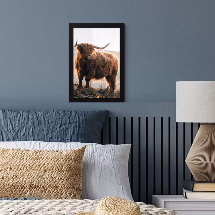 Schotse hooglander - Dieren - Landelijk - Landschap - Koe - Natuur fotolijst zwart zonder passe partout klein -sfeer3