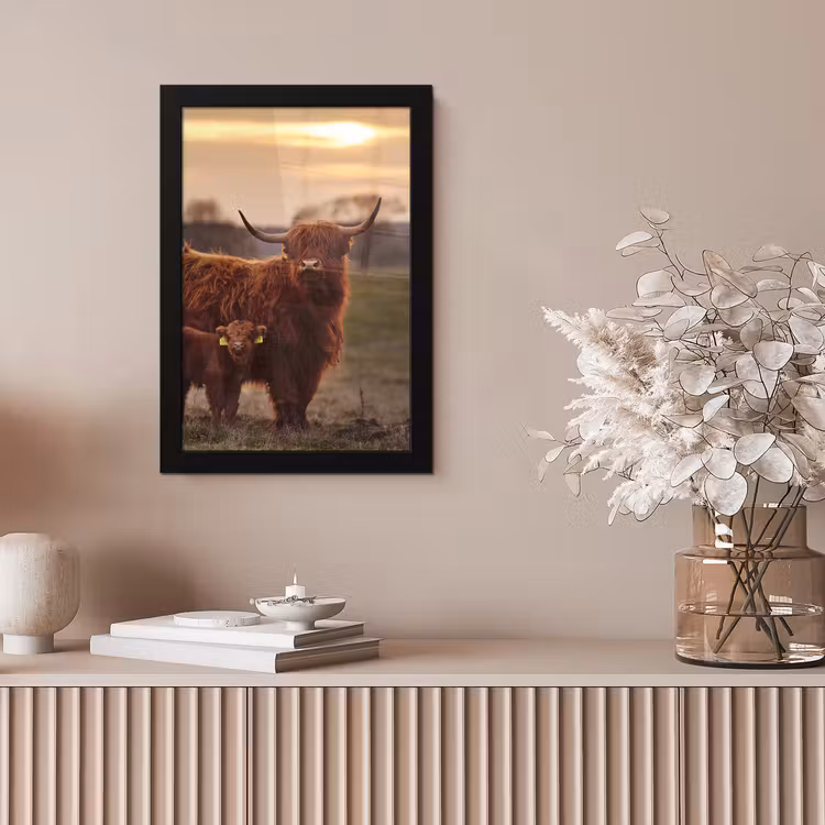 Schotse hooglander - Dieren - Landschap - Zonsondergang - Koe fotolijst zwart zonder passe partout klein -sfeer5