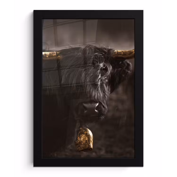 Schotse hooglander - Goud - Koebel - Hoorns - Dieren fotolijst zwart zonder passe partout klein -3d