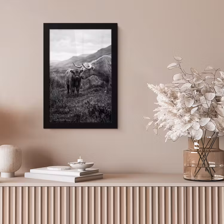 Schotse hooglander - Kalf - Zwart - Wit fotolijst zwart zonder passe partout klein -sfeer5