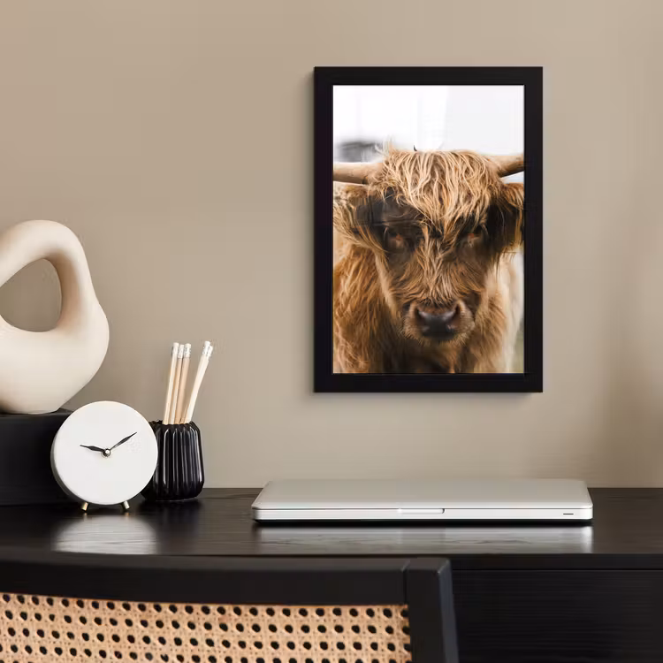 Schotse Hooglander - Koe - Gras - Dieren - Natuur fotolijst zwart zonder passe partout klein -sfeer1