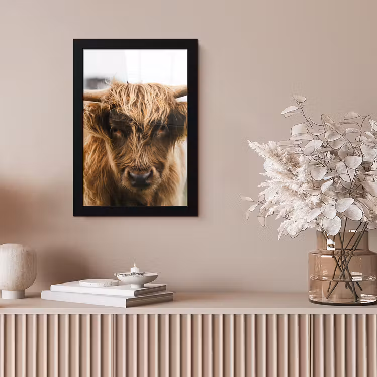 Schotse Hooglander - Koe - Gras - Dieren - Natuur fotolijst zwart zonder passe partout klein -sfeer5