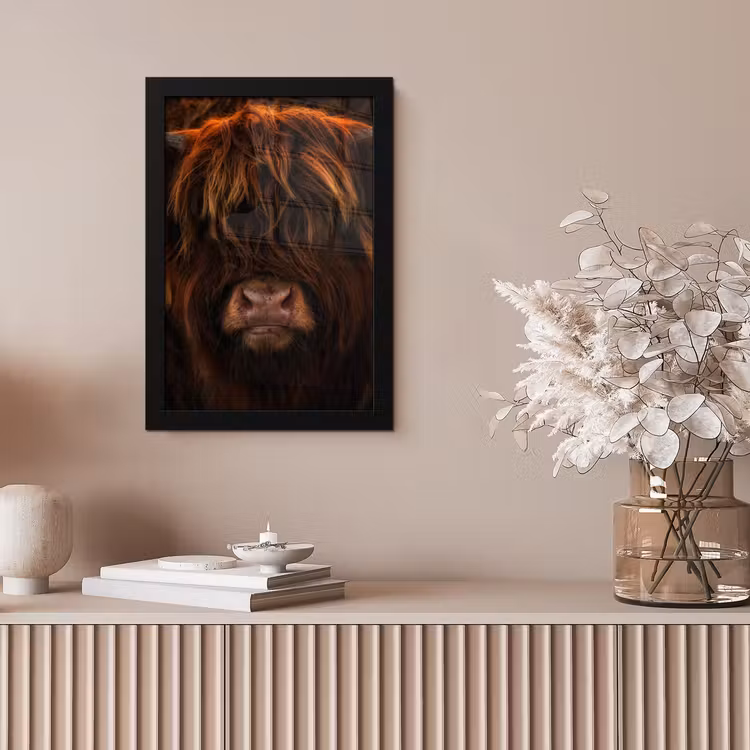 Schotse Hooglander - Koe - Portret - Dieren fotolijst zwart zonder passe partout klein -sfeer5