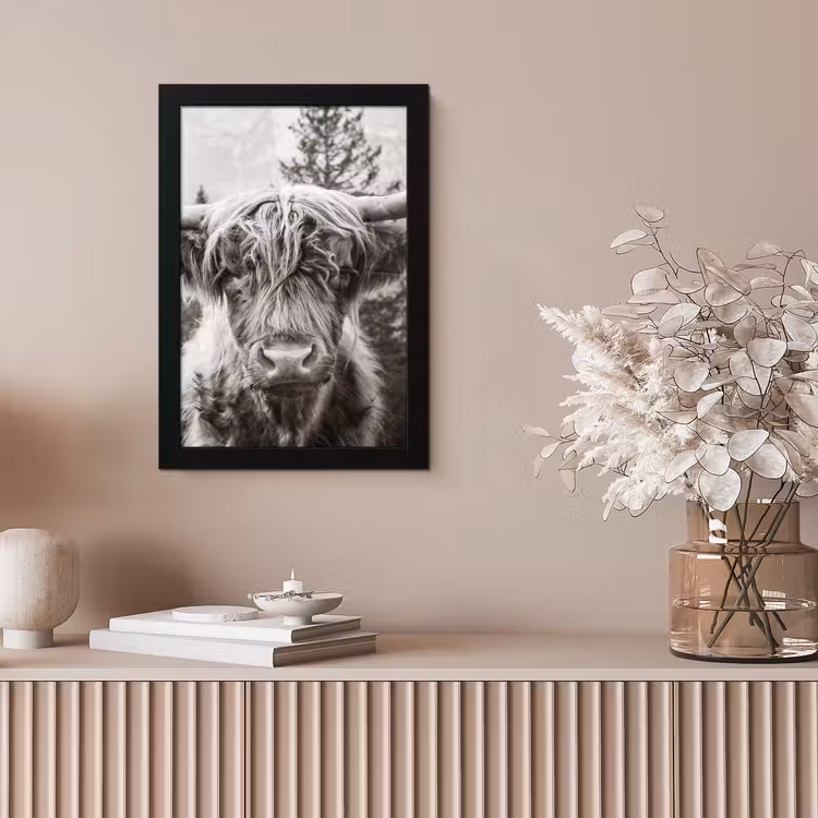 Schotse hooglander - Koe - Dieren - Zwart - Wit fotolijst zwart zonder passe partout klein -sfeer5