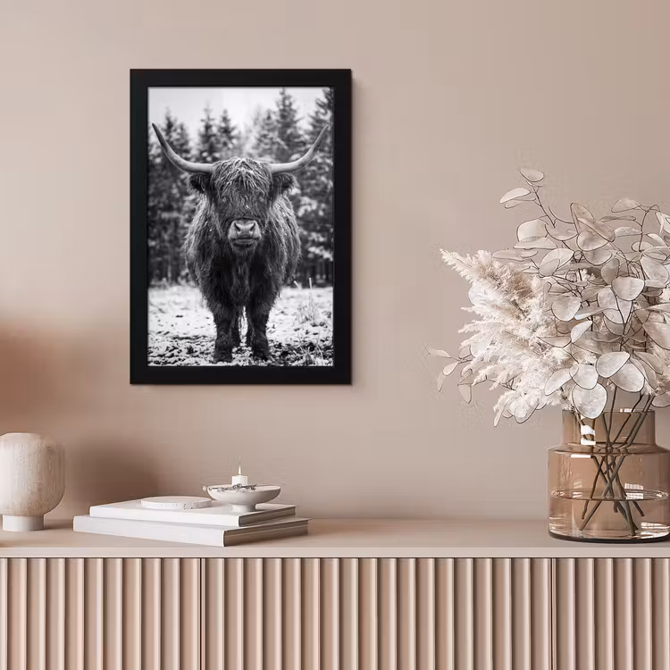 Schotse hooglander - Zwart - Wit - Sneeuwvlokken fotolijst zwart zonder passe partout klein -sfeer5