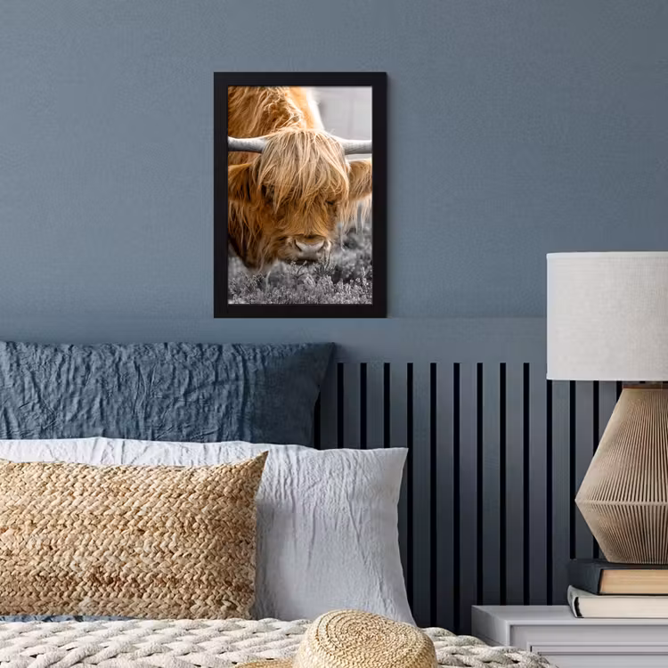Schotse Hooglander - Dieren - Bruin - Koe - Zwart - Wit - Natuur fotolijst zwart zonder passe partout klein -sfeer3