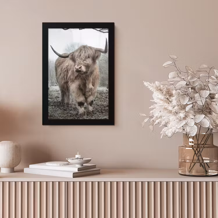 Schotse Hooglander - Bos - Mist - Koe - Dieren - Natuur fotolijst zwart zonder passe partout klein -sfeer5