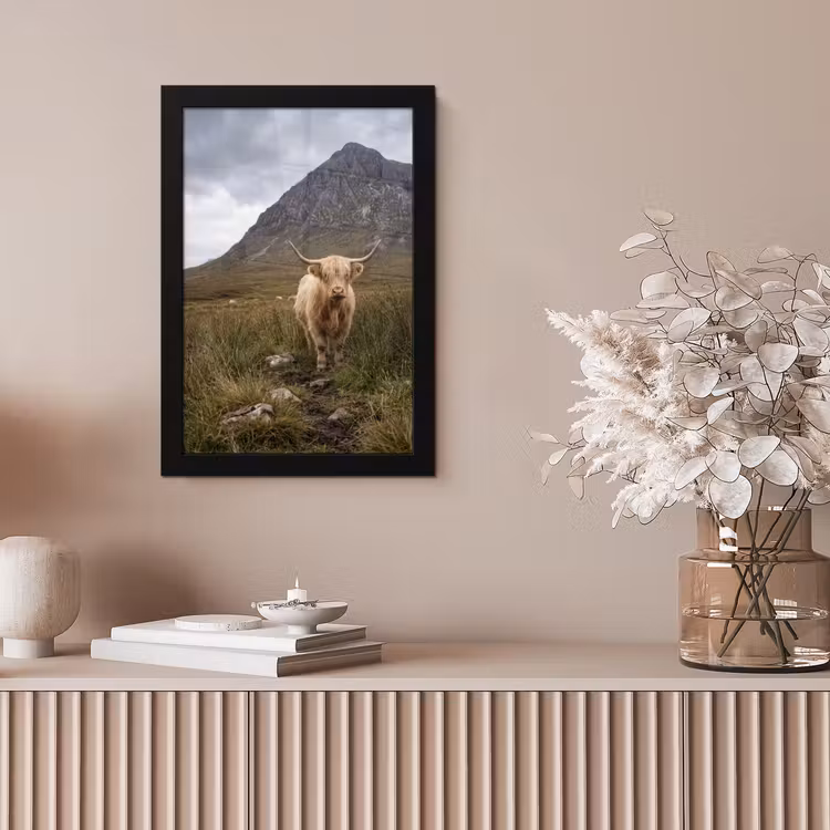 Schotse hooglander - Bergen - Grasveld fotolijst zwart zonder passe partout klein -sfeer5