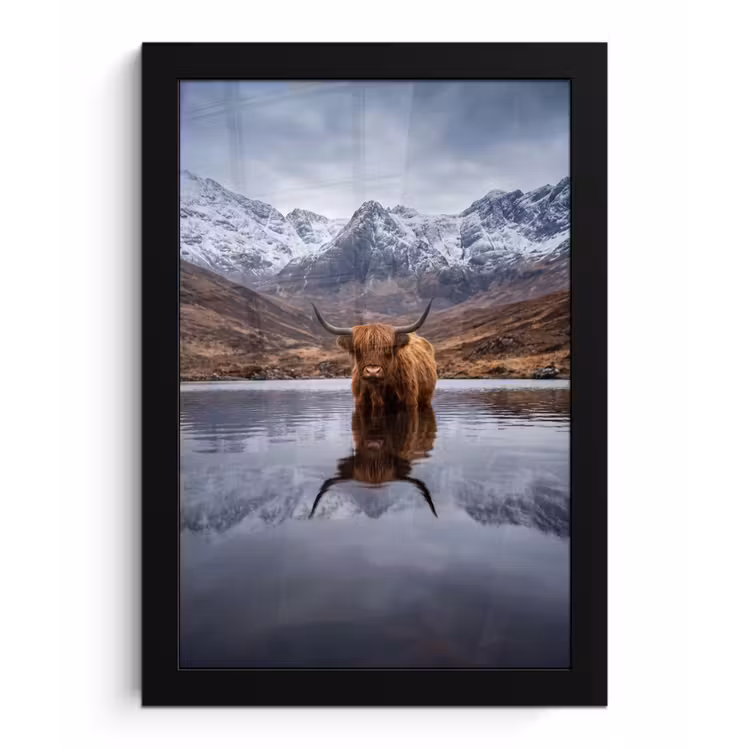 Schotse hooglander - Bruin - Water fotolijst zwart zonder passe partout klein -3d