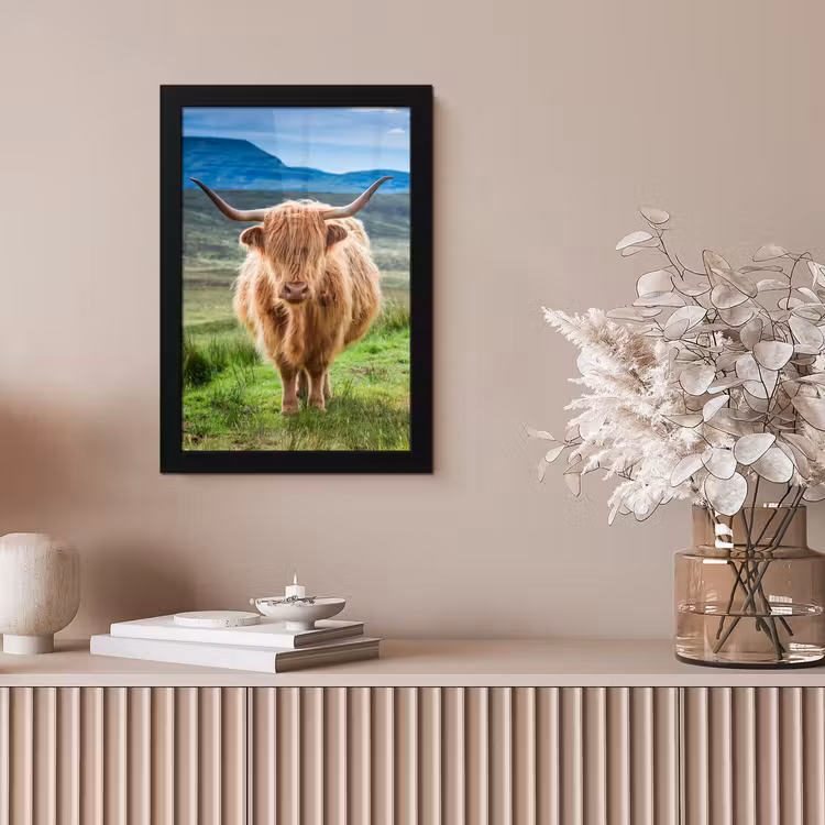 Schotse hooglander - Koe - Natuur - Berg - Gras fotolijst zwart zonder passe partout klein -sfeer5