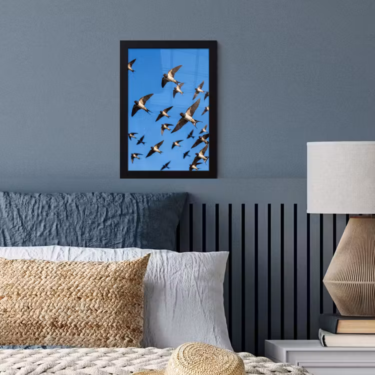 Zwaluwen - Vliegen - Blauw fotolijst zwart zonder passe partout klein -sfeer3