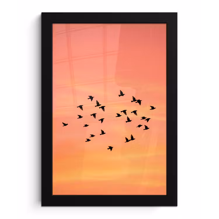Zwerm - Vogels - Oranje fotolijst zwart zonder passe partout klein -3d