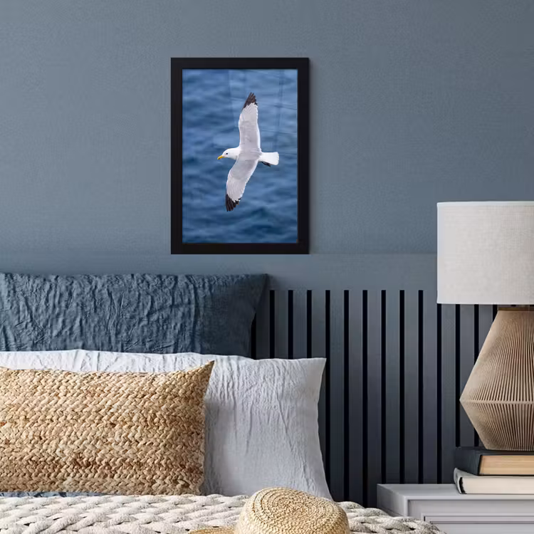 Zeemeeuw - Oceaan - Blauw fotolijst zwart zonder passe partout klein -sfeer3