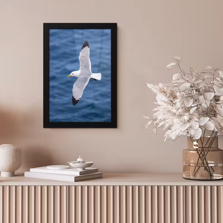 Zeemeeuw - Oceaan - Blauw fotolijst zwart zonder passe partout klein -sfeer5