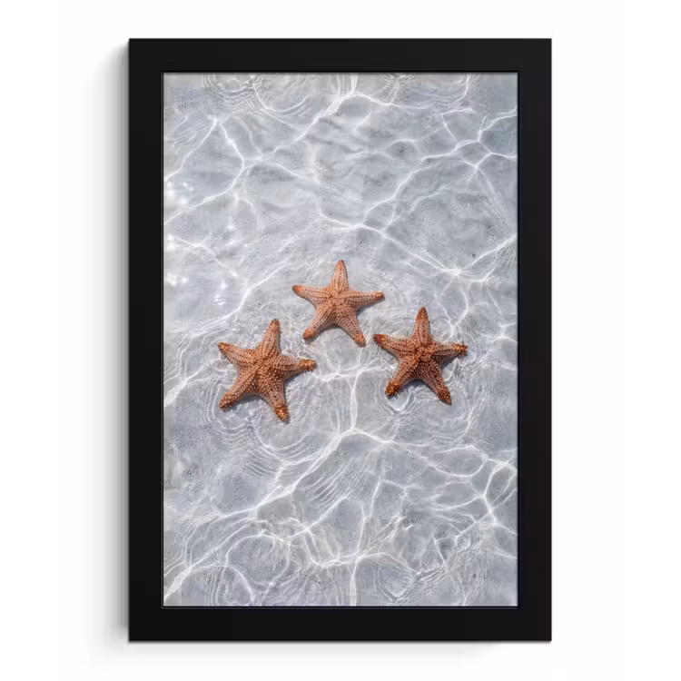 Zeesterren - Water - Helder fotolijst zwart zonder passe partout klein -3d